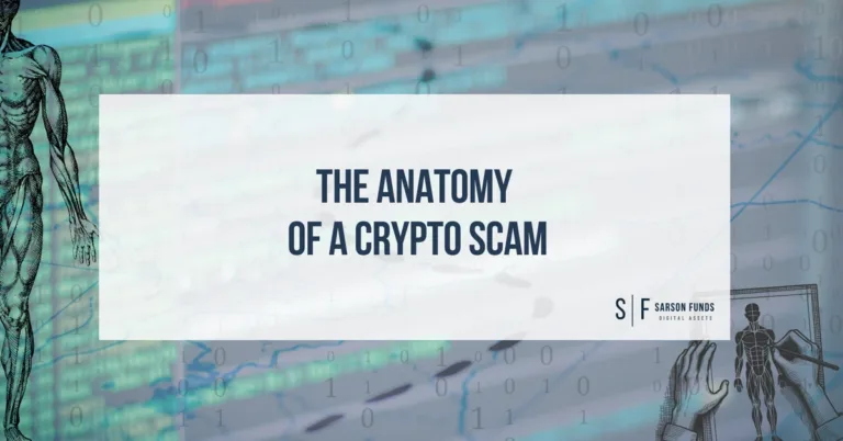 Stylized background showing anatomical drawings and digital data, with title “The Anatomy of a Crypto Scam”